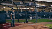 Major League Baseball GIF by CarShield