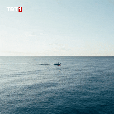 Summer Travel GIF by TRT