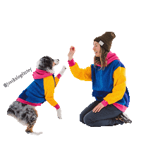 justbeingfarley dog dog mom twinning matching Sticker