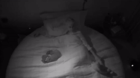 witness world wide #kpwww GIF by Katy Perry