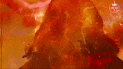 Jodie Whittaker Thirteenth Doctor GIF by Doctor Who