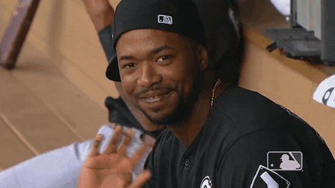 Regular Season Sport GIF by MLB