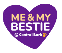 Besties Dog Day Care Sticker by Central Bark