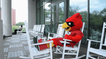 Relaxing Big Red GIF by Lamar University