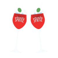 Drink Cheers Sticker by SelectAperitivo