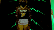 Bison Hart GIF by NDSU Athletics