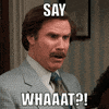 will ferrell anchorman GIF
