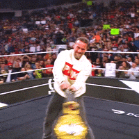 Cm Punk Belt GIF by WWE