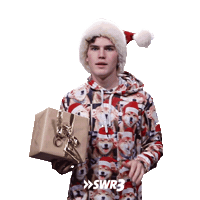 Happy Merry Christmas Sticker by SWR3