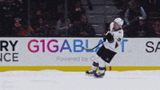 lights out celebration GIF by San Jose Sharks