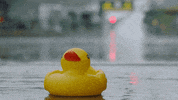 Rain Cars GIF by Formula 1