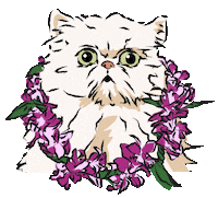 alohapersians cat fun cats chill Sticker
