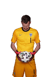 Euro Cup Football Sticker by UEFA