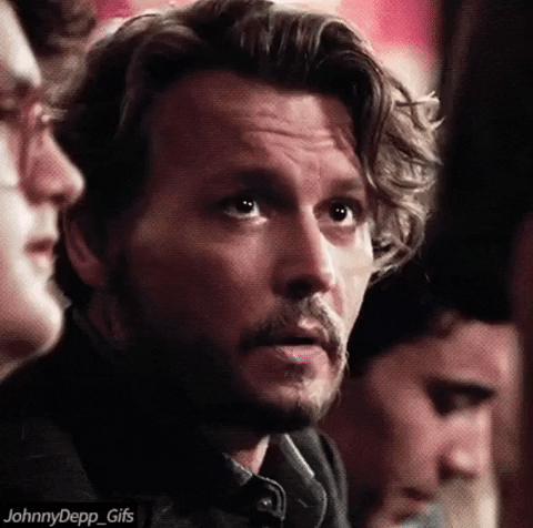Flojoon johnny depp GIF