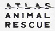 atlasanimalrescue  GIF