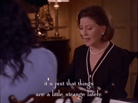 season 2 netflix GIF by Gilmore Girls 