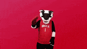 High Five Rainbow GIF by Brock University