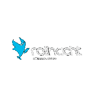 Rollnacht dusseldorf skatenight bladenight rollnacht Sticker