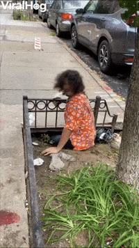 Hole Community in New York