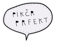 Picture Perfect Sticker