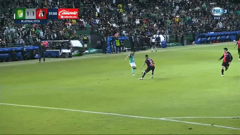 denisromantsov giphyupload GIF