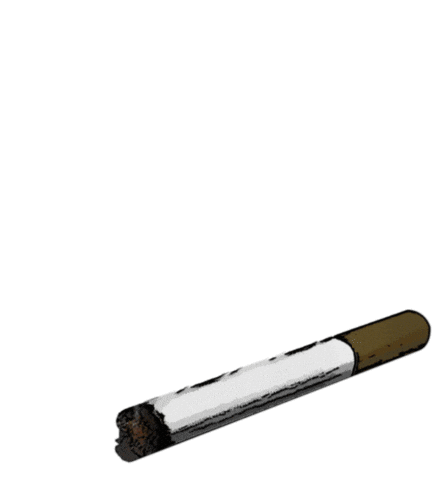 american woman smoke Sticker by Paramount Network
