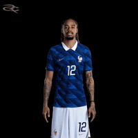 France Uefa GIF by Respective
