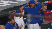 Chicago Cubs Baseball GIF
