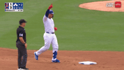 Chicago Cubs Baseball GIF