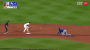 Chicago Cubs Baseball GIF