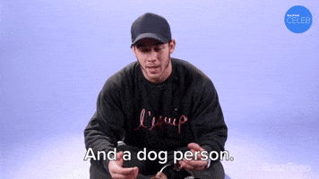 Not A Cat Person