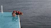 GIF by FirstAndMonday