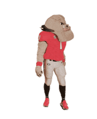Georgia Bulldogs What Sticker by University of Georgia