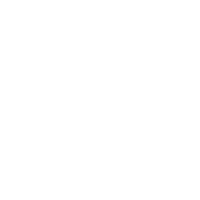 d-flygroup electric dragonfly escooter dfly Sticker