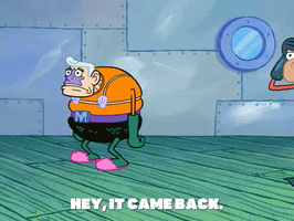 season 6 GIF by SpongeBob SquarePants