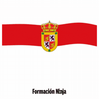 Comunidad De Madrid Bandera GIF by Formación Ninja