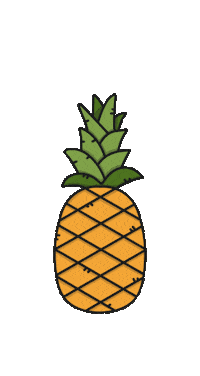 Fun What Sticker