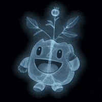 X-Ray Skeleton GIF by Magic Eden