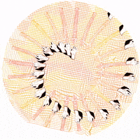 teexsc touch sense perception phenakistiscope GIF