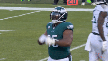 Fly Eagles Fly Dance GIF by Philadelphia Eagles
