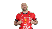 rfebalonmano handball spain espana balonmano Sticker