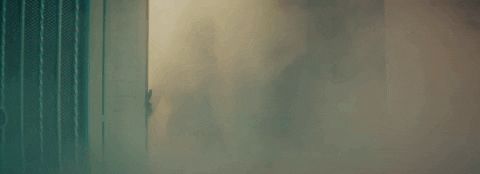 Cq GIF by Citizen Queen
