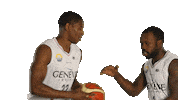 Basketball Basket Sticker by Lions de Genève