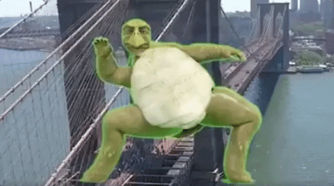 turtle dance GIF by Ari Spool, Community Curator