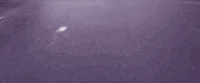 mom + pop music GIF by Mutual Benefit