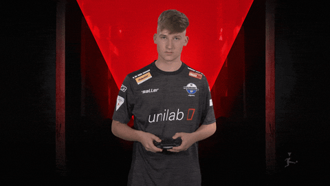 Fifa Wtf GIF by Bundesliga