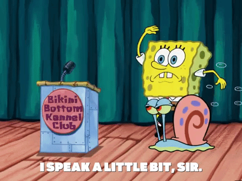 season 6 episode 10 GIF by SpongeBob SquarePants