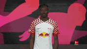 Rb Leipzig Football GIF by Bundesliga