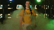 King Softball GIF by NDSU Athletics
