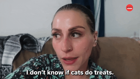 Cats Dog Person GIF by BuzzFeed